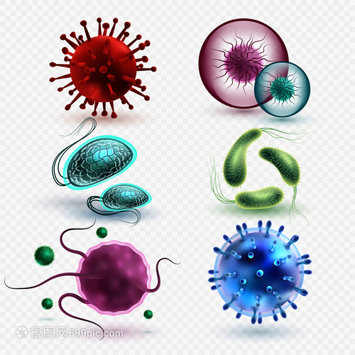 3D現實中的微生物與細菌 隔離、媒集與微觀世界的探索